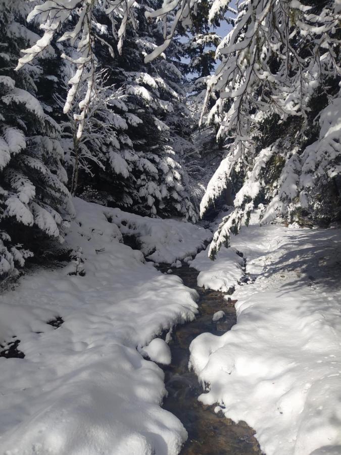 Studio 4 Personnes Au Pied Des Piste Plateau De Bonascre - Ax 3 Domaines Ete Hiver Ax-les-Thermes Extérieur photo