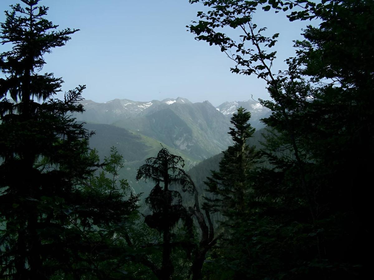 Studio 4 Personnes Au Pied Des Piste Plateau De Bonascre - Ax 3 Domaines Ete Hiver Ax-les-Thermes Extérieur photo